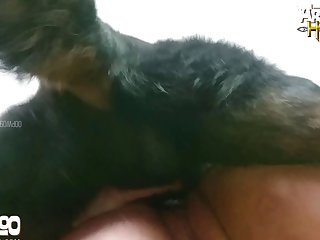 Submissive Cunt