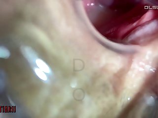 Woman Sex With Animal Porn