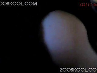 Animal Kingdon Sex Scenes