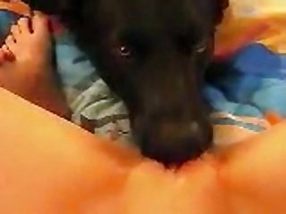 Telegram Animal Sex Group