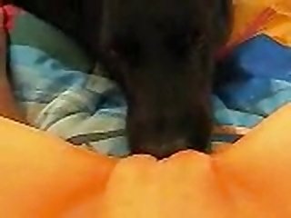 Telegram Animal Sex Group