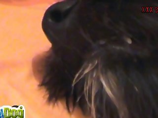 Cartoon Animal Sex Tube