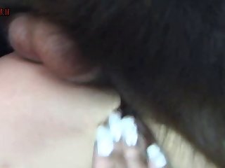 Japanese Women That.love Animal Sex