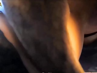 Animal Sex Forced