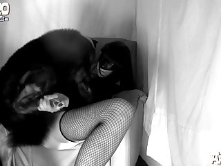 Telegram Animal Sex Channel