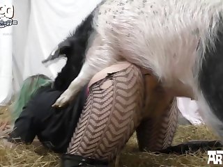 Animal Have Sex With Women