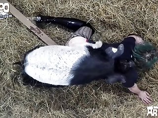 Animal Have Sex With Women