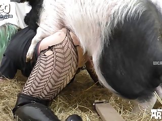 Animal Have Sex With Women