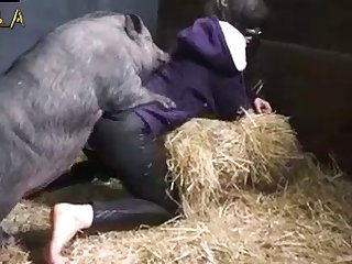 Animal Can Change Sex
