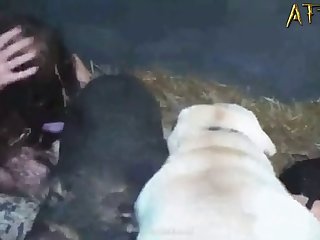 Animal That Changes Sex
