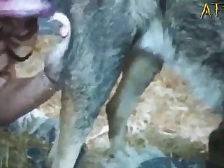 Animal That Changes Sex