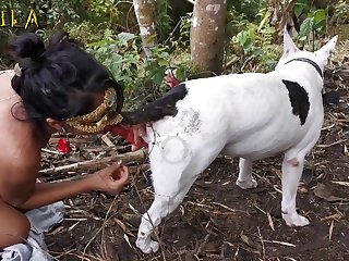 First Time Animal Sex Stories