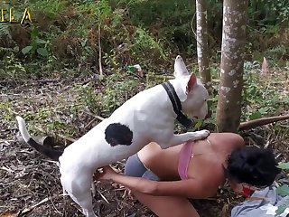 First Time Animal Sex Stories