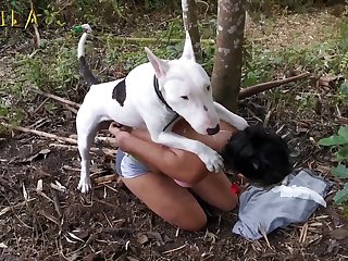 First Time Animal Sex Stories