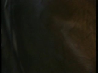 Animal Sex Vadio