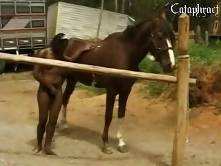 Video Sex Animal Zoo