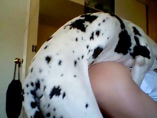 Anime Girl Horse Porn