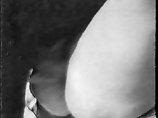 Girl Forced To Fuck Horse Porn