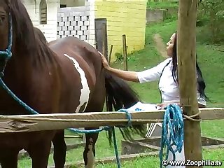 Laura And Horse Porn