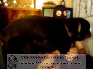 Bfi Dog Porn