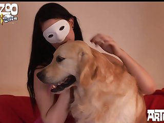 Porn Stories Zoo
