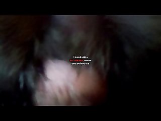 Hidden Dog Porn