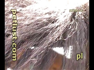 Horse And Dragon Porn