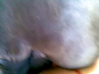 Cartoon Dog Rape Porn