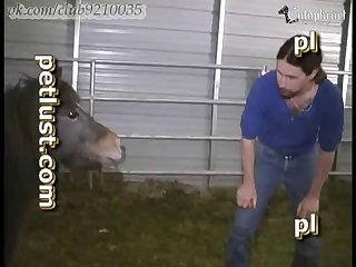 Xnxx Zoofilia Con Caballos