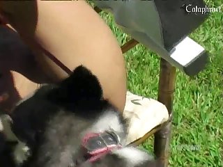 Xxx Zoofilia Animada