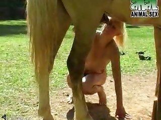 Zoofilia Cavalo Comendo Porca