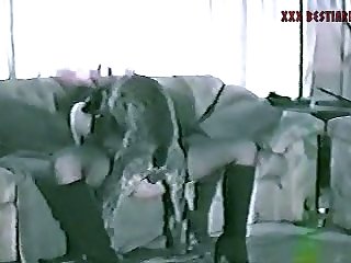 Animal Sex Man Videos