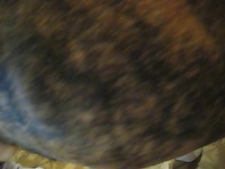 Xnxx Zoo Chicken