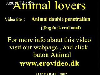 Woman Dog Blowjob Porn