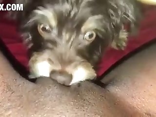 Art Of Zoo Teen Porn