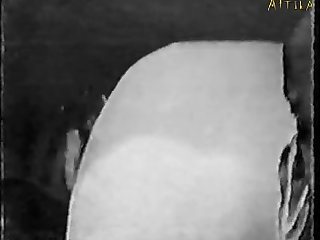 Baldur's Gate Animal Sex