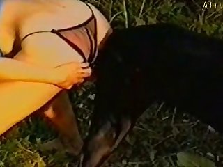 Animal That Dies During Sex