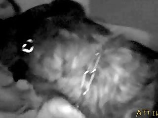 Zoofilia Videos 2021