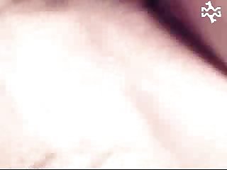 Animal She Sex