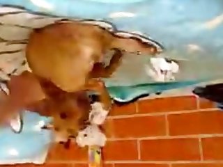 Animal Porn Videos New