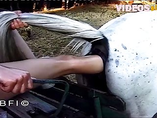 Animal Pocket Pussy Porn