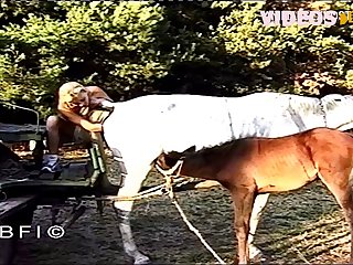 Animal Pocket Pussy Porn