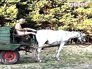 Animal Pocket Pussy Porn