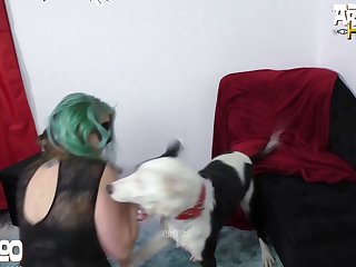 Porn With Animal