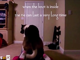 Long Animal Porn