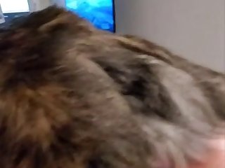 Humans And Animal Porn