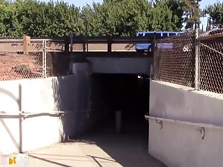 Animal Sex Stories Porn