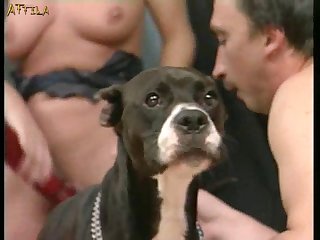 Ver Videos De Zoofilia Gratis