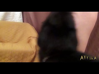 Xxx Videos Zoofilia