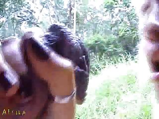 Videos Zoofilia Hd Free